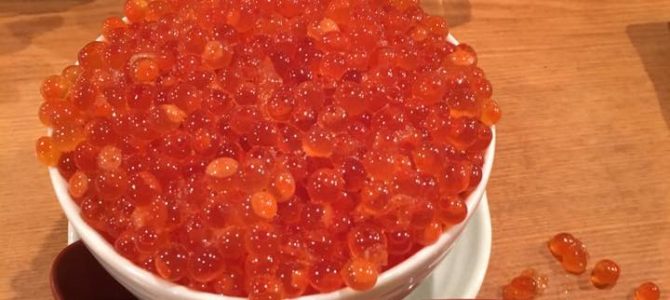 ２０１６年１１月の北海道旅行１